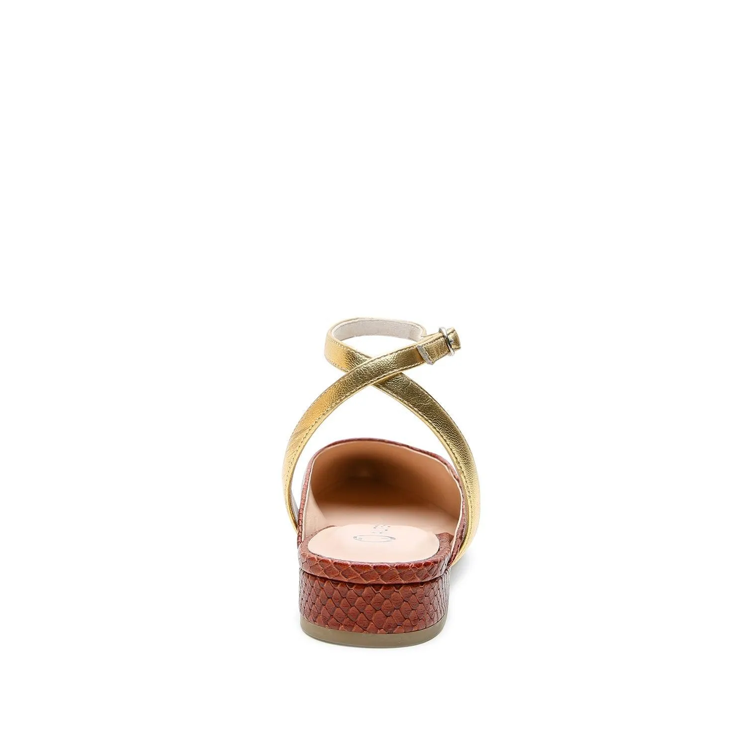 Brown Snake Point Slide   Gold Marilyn Strap