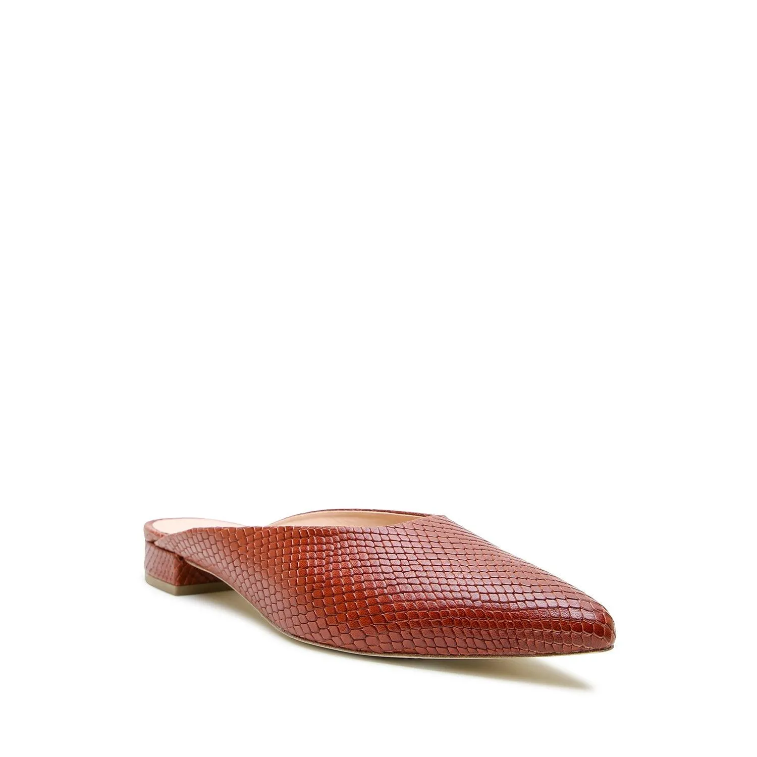 Brown Snake Point Slide