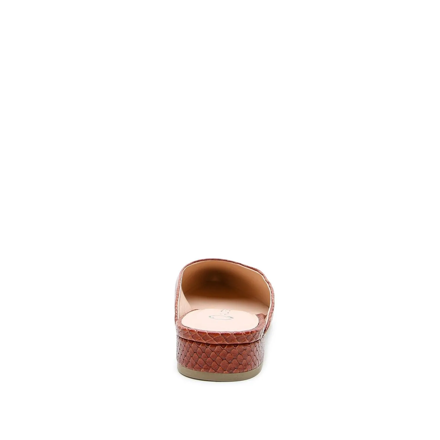Brown Snake Point Slide