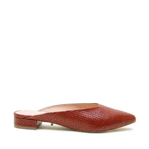 Brown Snake Point Slide