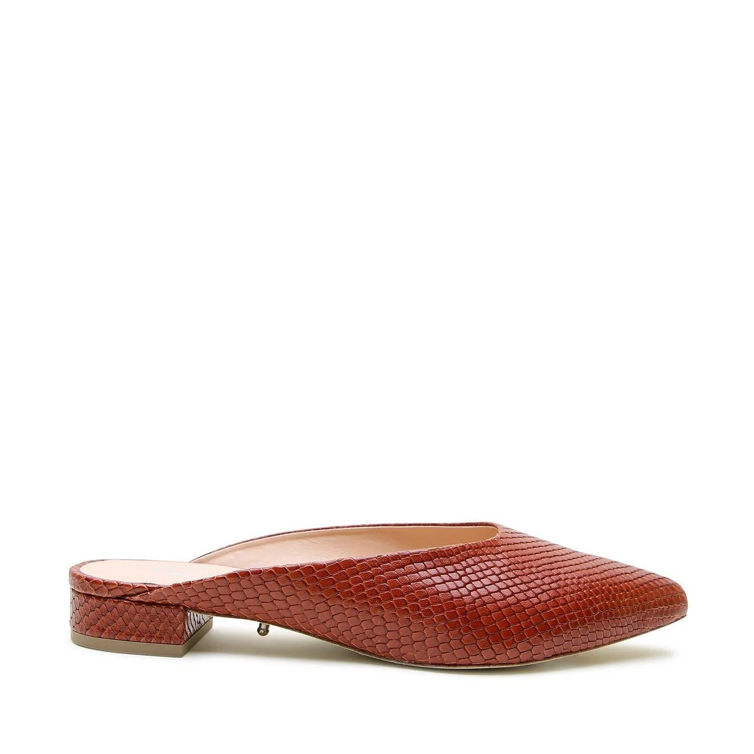 Brown Snake Point Slide