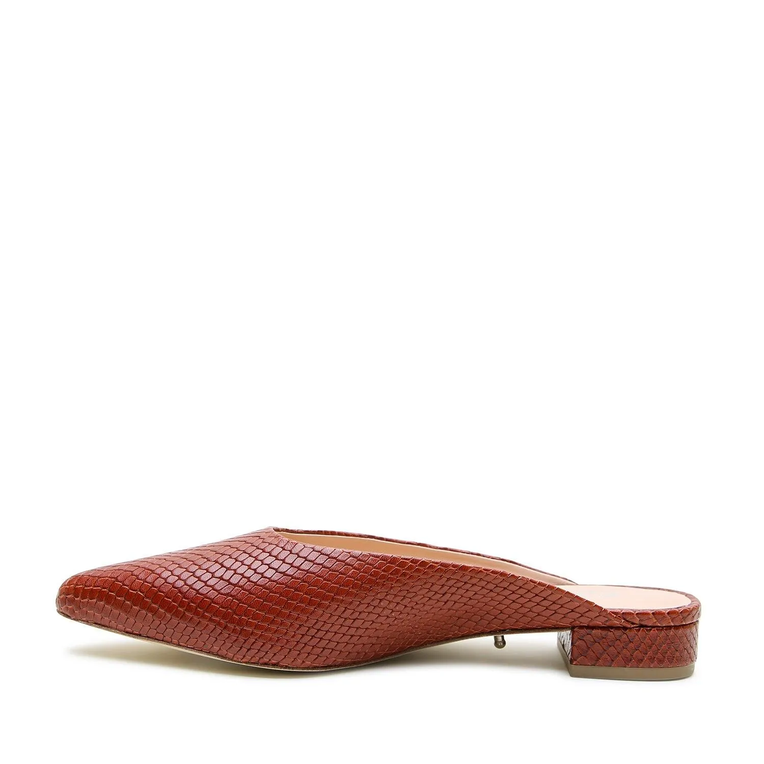 Brown Snake Point Slide