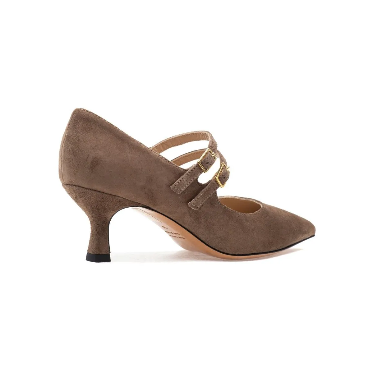 Francia Pump