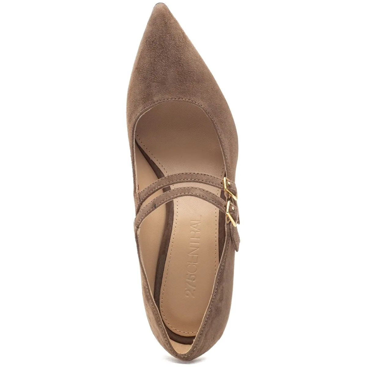 Francia Pump