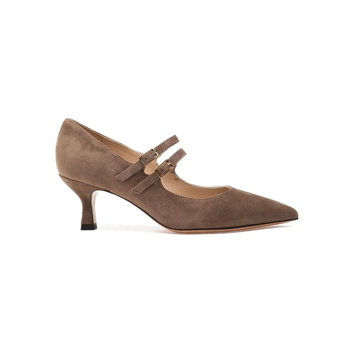 Francia Pump