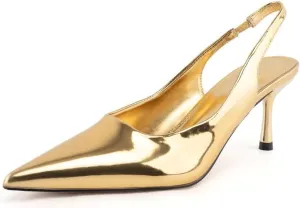 heelchic Women's Kitten Heel, Closed Pointed Toe Low Heel, Comfortable Pumps Shoes for Women Dress Shoes