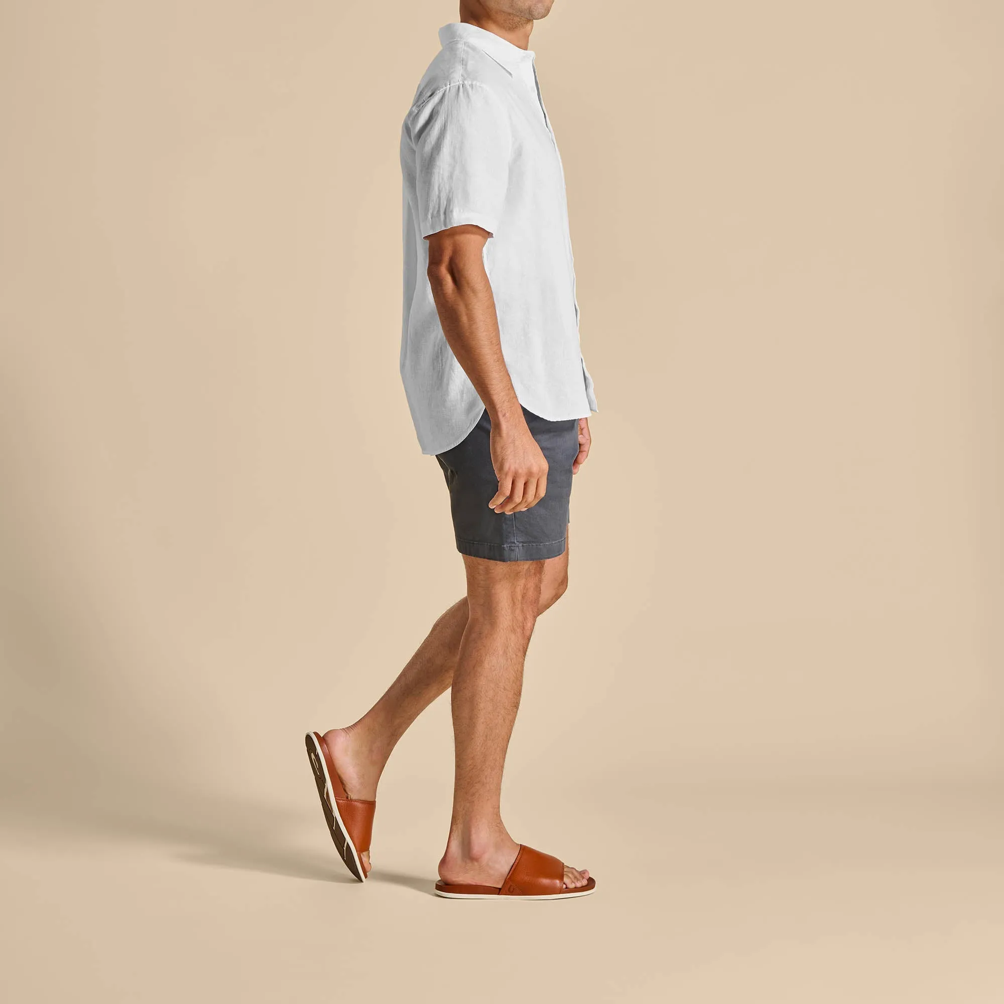 ‘Ōlali Slide - Fox