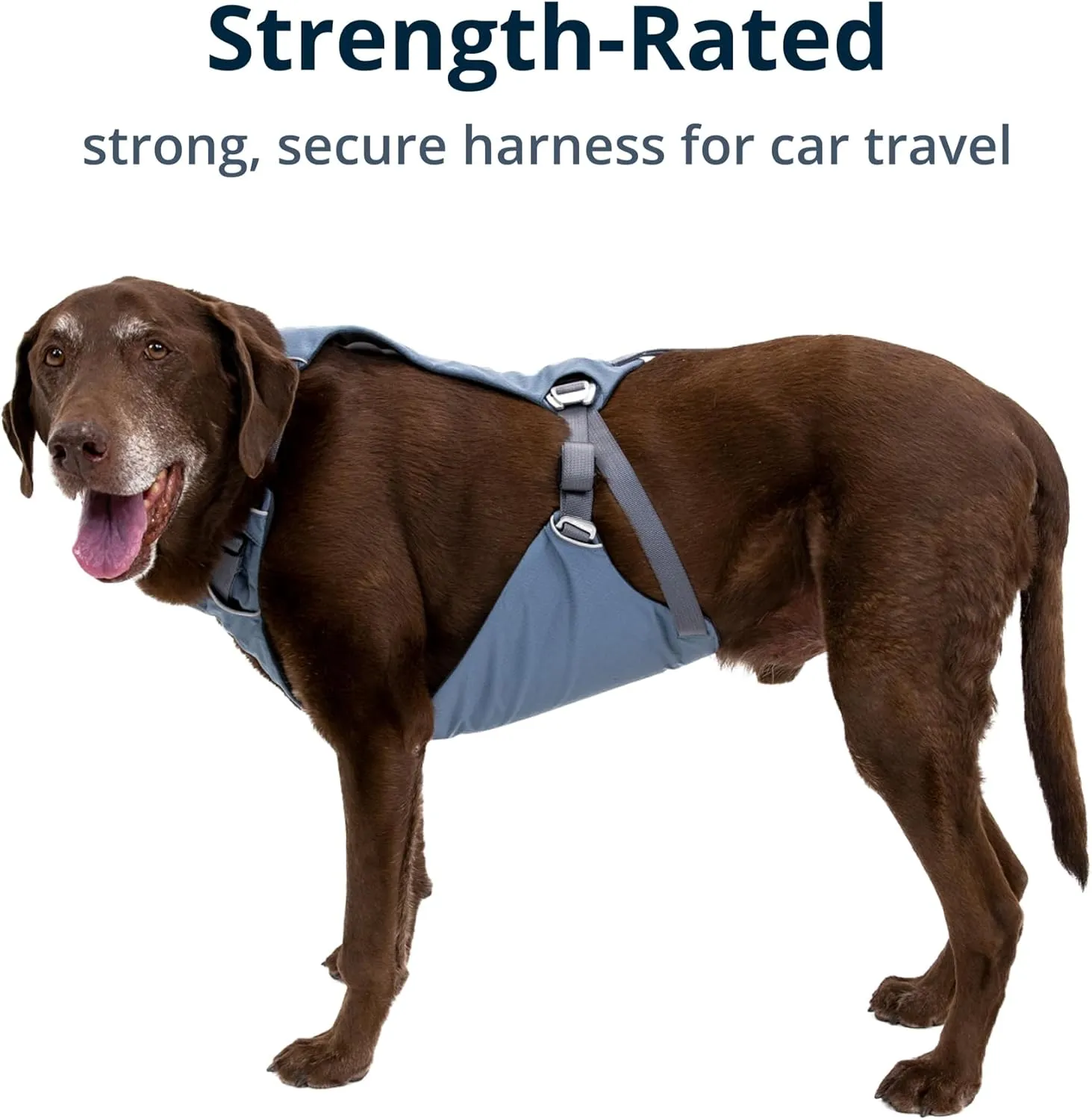 Ruffwear, Load Up Dog Harness, Strength-Rated Car Safety Harness with Universal Seat Belt Attachment, Slate Blue, Medium