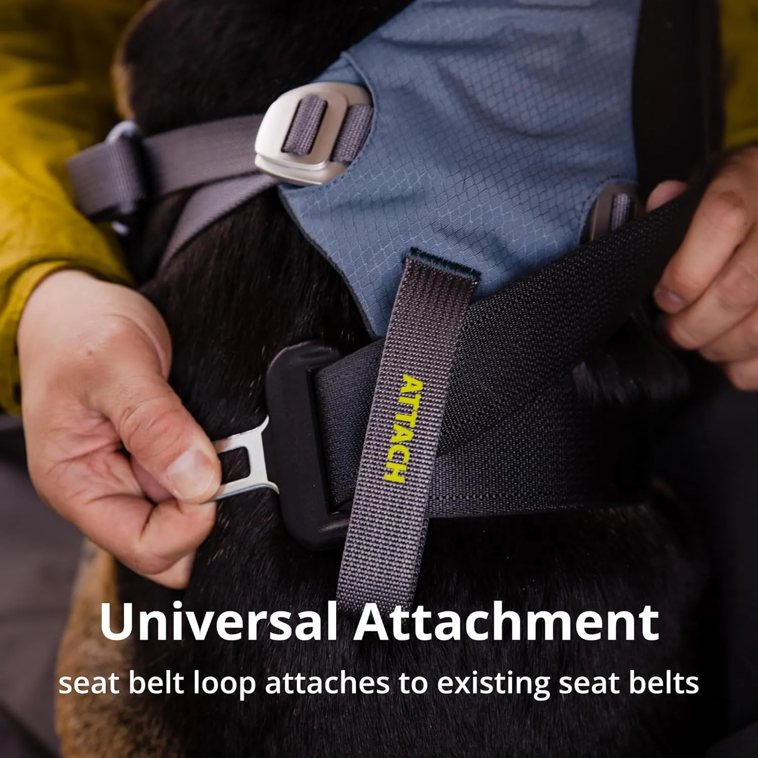 Ruffwear, Load Up Dog Harness, Strength-Rated Car Safety Harness with Universal Seat Belt Attachment, Slate Blue, Medium