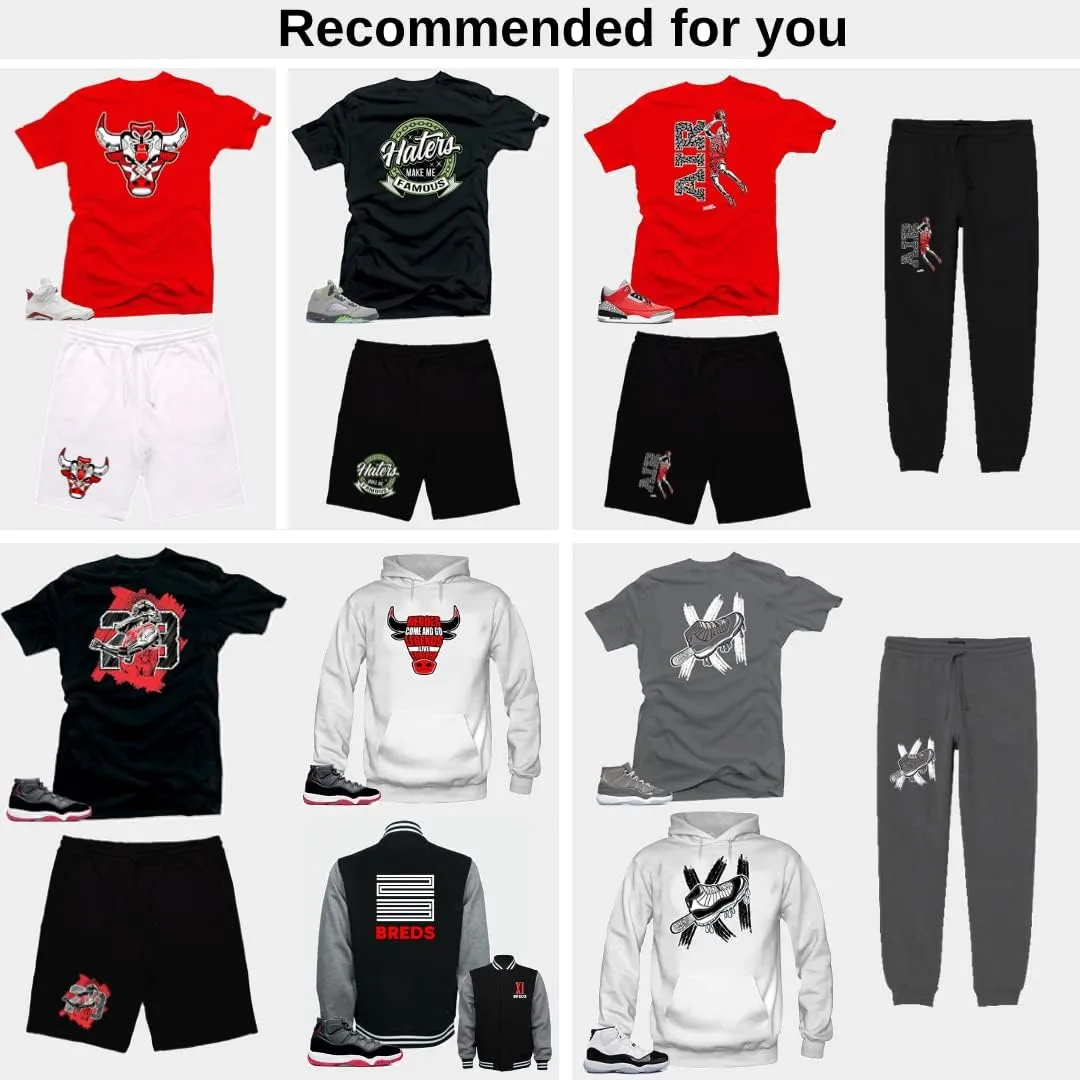 SNELOS Shirt to Match Sneaker Jordan 11 Cool Grey Match Jordan Tee
