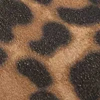 The Lisinda (Sample Sale)