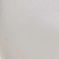 The Marzia